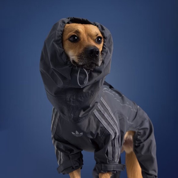 Adidas sort une collection pour chiens et chats.