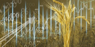 Le prix du blé grimpe, grimpe et il n'y a pas de fin en vue