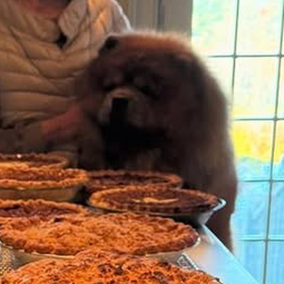 Marta Stewart a fait 35 tartes pour Thanksgiving