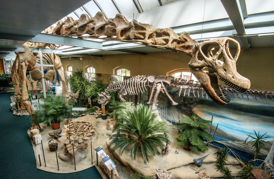 Sauriermuseum Aathal