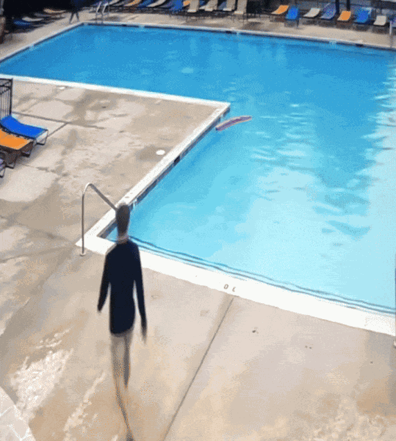 GIF animé