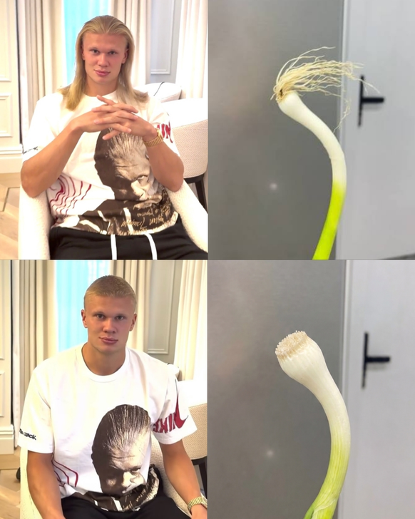 Haaland Haar Memes