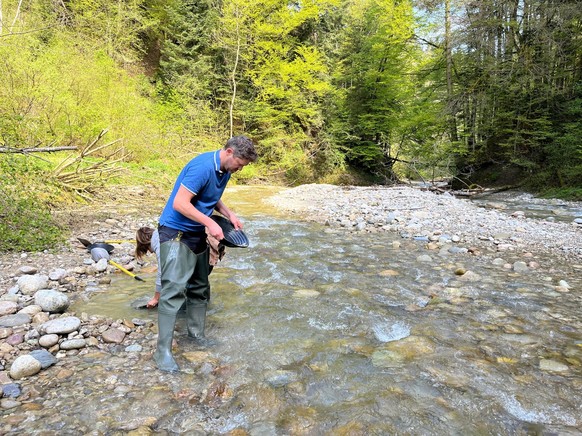Goldwaschen im Napfgebiet Schweiz reinstes Gold der Welt