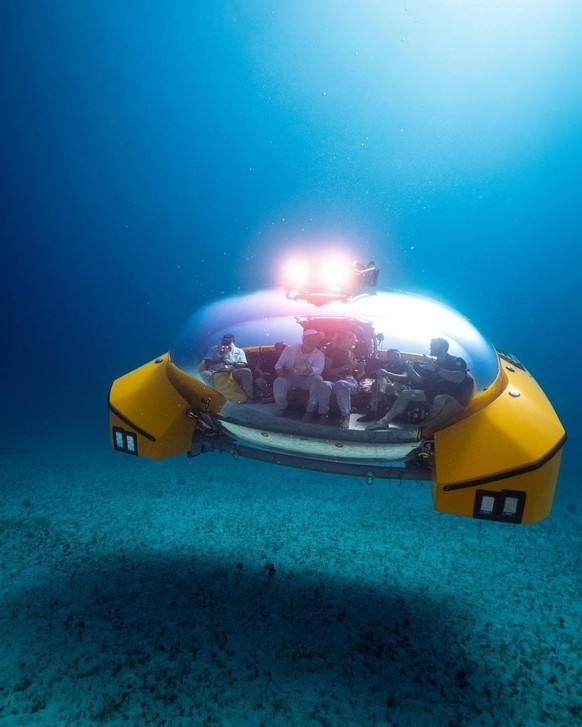 Le triton 660/9 permet à ses passagers de «jouer au poker avec de vrais requins, de profiter d'un repas immersif sous-marin, d'échanger leurs vœux avec la vie marine en tant que témoin et de plonger à ...