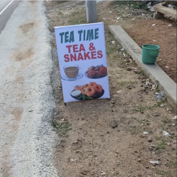 Die lustigsten Fails der Woche: Tee und Schlangen