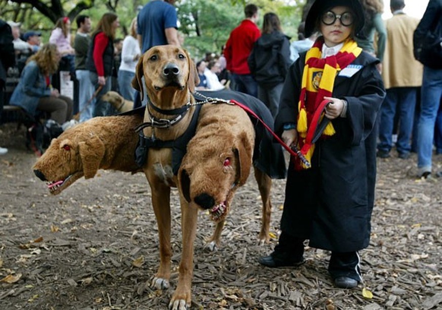 Touffu, le chien à trois têtes de Hagrid dans Harry Potter.