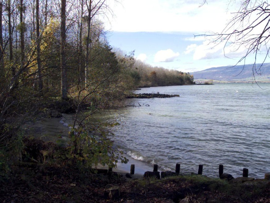 Le corps de la jeune femme est trouvé le 17 janvier 2018 par des promeneurs, dans les roseaux au bord du lac de Neuchâtel.