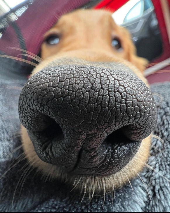 cute news tier hund

https://imgur.com/gallery/azjFFoZ