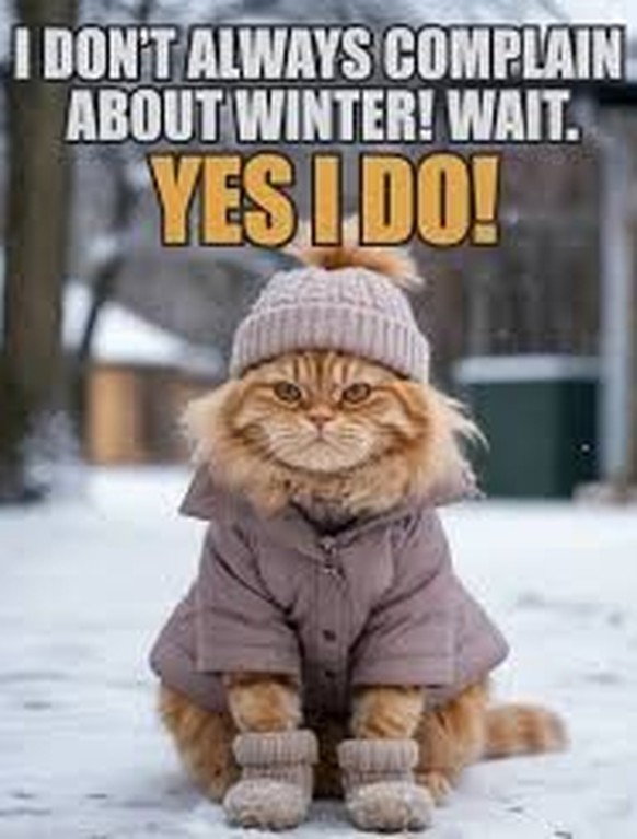 Überraschungs-Winter im Frühling. Die Memes.