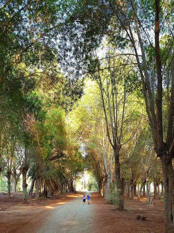 Il s'agit de Nad Al Sheba Forest. Pour le coup, c'est très joli.