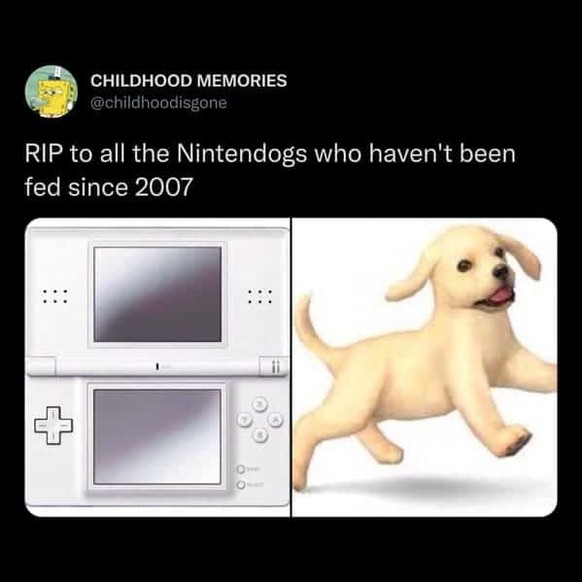 Nintendogs Tweet und lustige Memes der 2000er