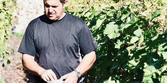 Désastre dans le vignoble romand: «On n'avait pas vu ça depuis 1945»