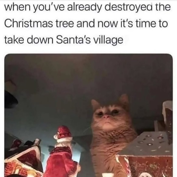 cute news tier katze weihnachten

https://www.instagram.com/p/DDGO-QooI94/