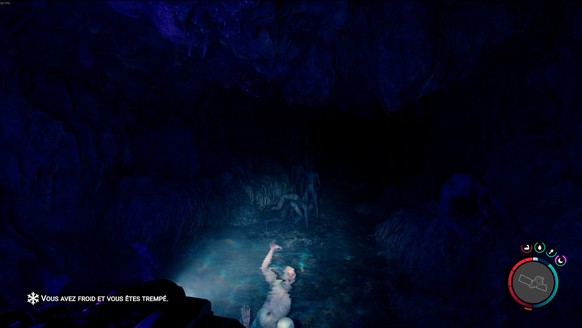 Sons of the Forest, jeu vidéo