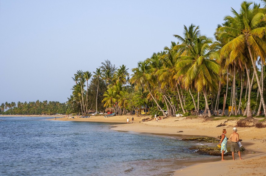 Las Terrenas beach, Samana, Dominican Republic, Carribean, America. Tropical Caribbean beach with coconut palm trees. This white-sand beach stretches in the center of town, located between Playa Punta ...