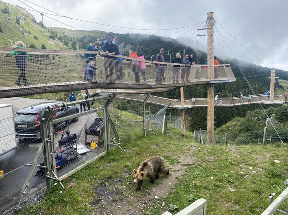 Le refuge à Arosa.