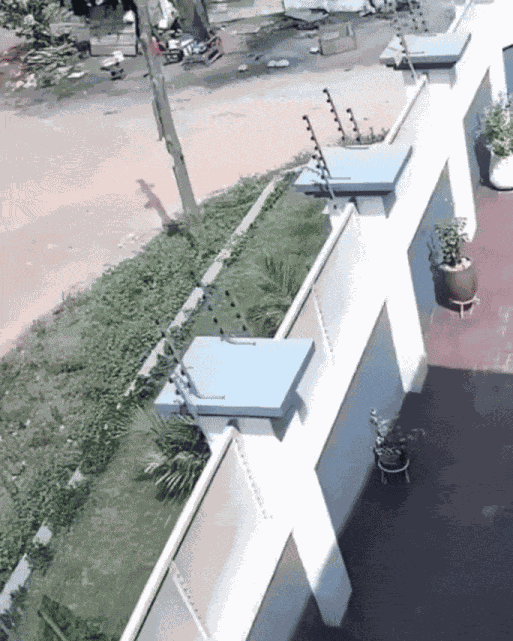 GIF animé