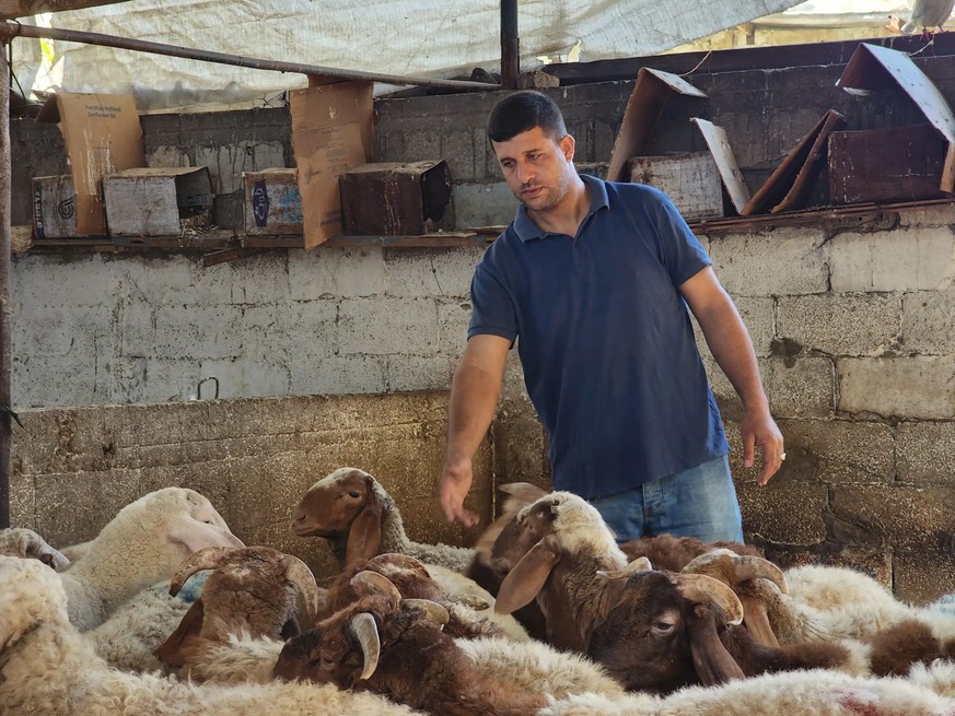 L&#039;éleveur Hammam al-Zarqa avec ses moutons.