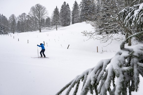 Une personne pratique le ski de fond sur une piste recouverte de neige du centre Nordique la Vue des Alpes / Tete de Ran le vendredi 22 novembre 2024 au Col de la Vue-des-Alpes dans le canton de Neuch ...