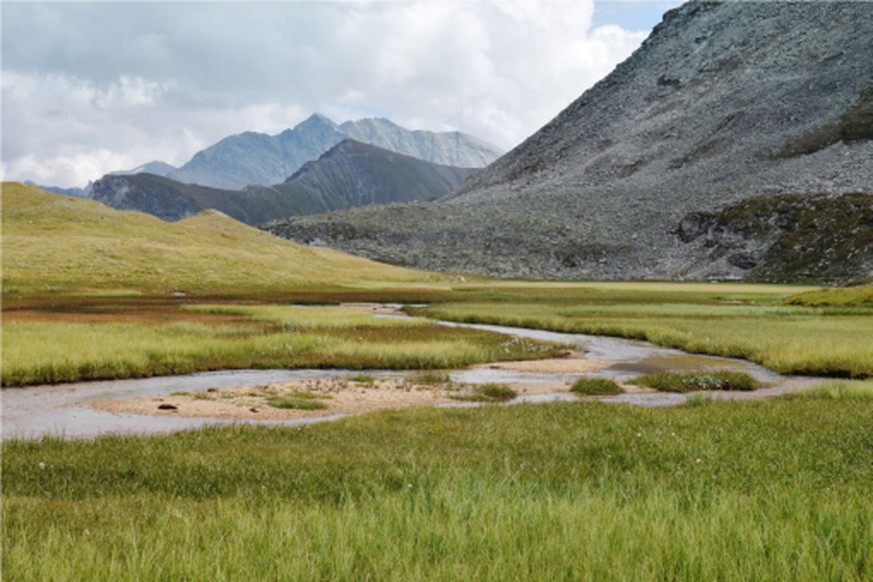 Plaine alluviale alpine de Lona, avec des tourbières, des zones de végétation alluviale et printanière de part et d&#039;autre des méandres du torrent de Lona.