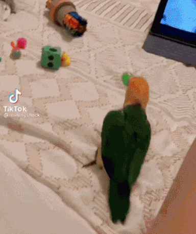 GIF animé