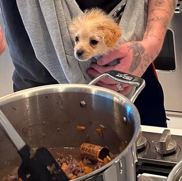 Oubliez le chien (très mignon, mais qui n'a rien à faire ici), regardez le bouchon.