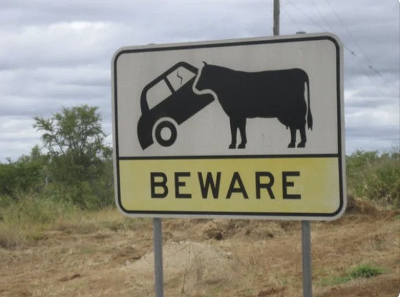 Die lustigsten Strassenschilder