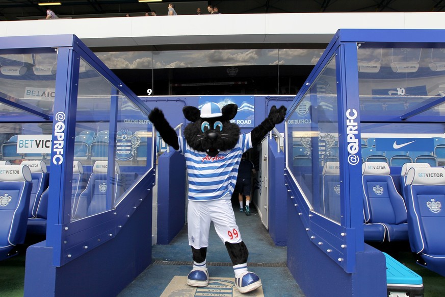 Jude the Cat, la mascotte de QPR