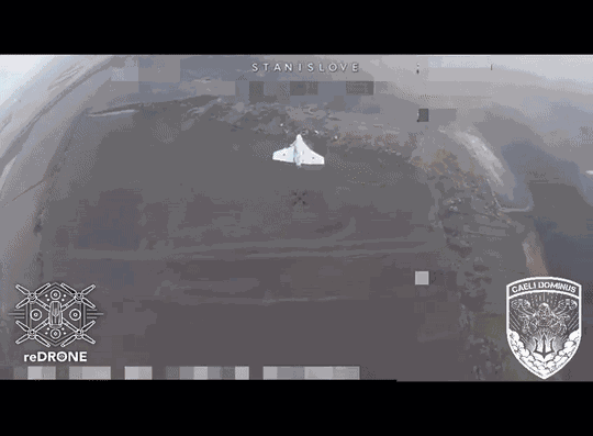 GIF animé