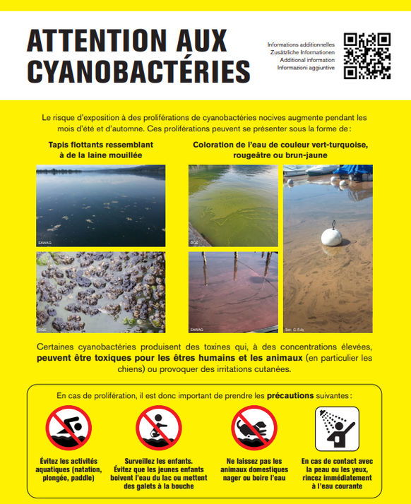 Cyanobactérie, que faire?