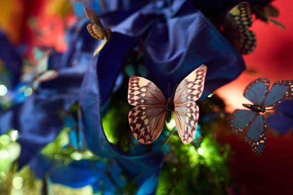 Ornaments sit on a Christmas tree in the Red Room of the White House during a press preview of the Christmas decorations &quot;Home is Where the Heart Is,&quot; Monday, Dec. 1, 2025, in Washington. (A ...