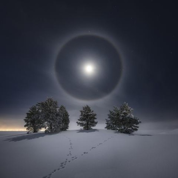 «Lunar Halo»