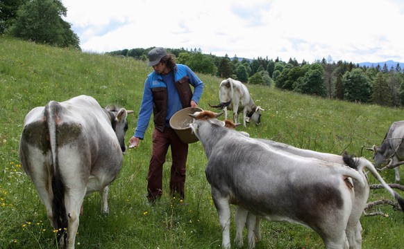 Reportage à la ferme de Trois Rods, dans le canton de Neuchâtel, avec un membre du service civil.