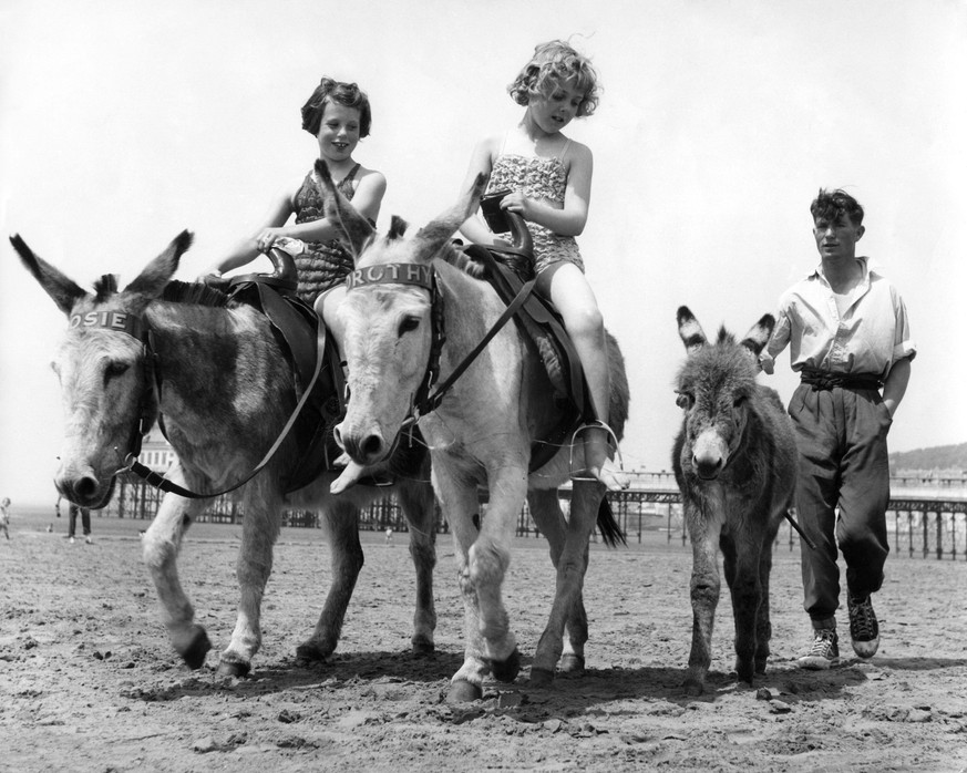 Bildnummer 60060873 Datum 01011900 Copyright imagoUnited Archives InternationalAs beach donkey Dorothy right foreground contentedly gives a ride to Lyyn Fieldhouse of Cookley near Kidderminster Worcs  ...