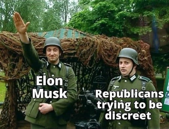 Musk Meme
