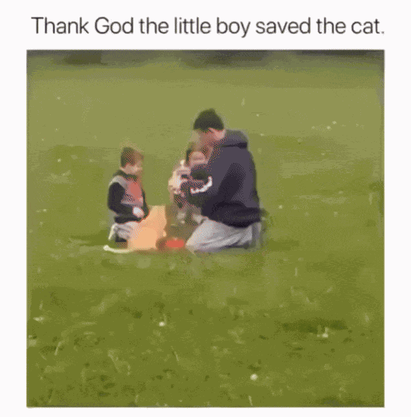 GIF animé
