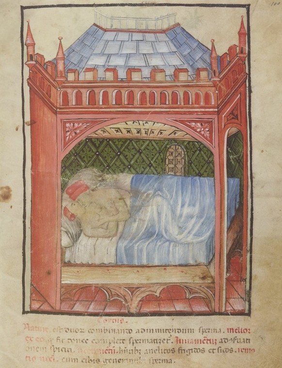 Représentation de l’acte sexuel dans un manuscrit médical, première moitié du XVe siècle.
https://gallica.bnf.fr/ark:/12148/btv1b105380445/f231.item#