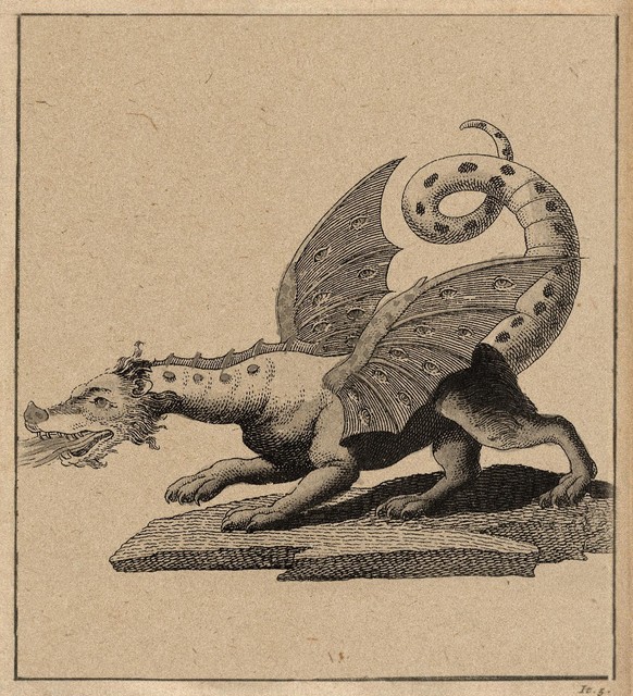 Illustration d&#039;un dragon ailé et crachant le feu par Friedrich Justin Bertuch (1806).