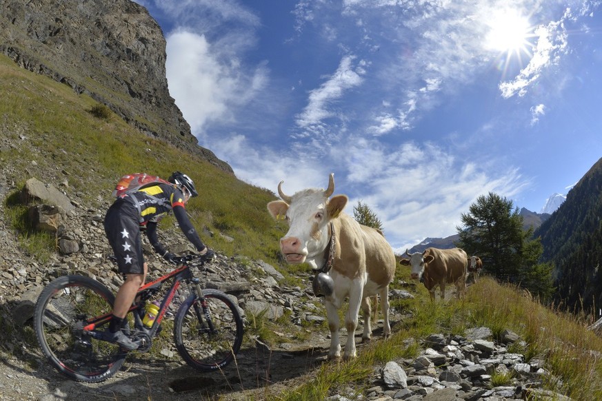 Swiss Epic competitor in action during the last stage of the Swiss Epic Race, a stage of 59 km, from Graechen to Zermatt, in Grachen, Switzerland, Sunday September 19, 2014. The Swiss Epic is a mounta ...