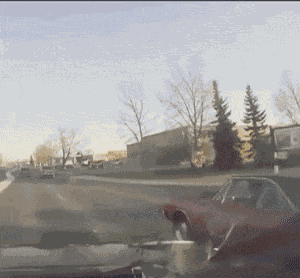 GIF animé