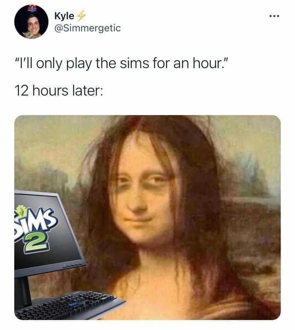 Die lustigsten Sims Memes