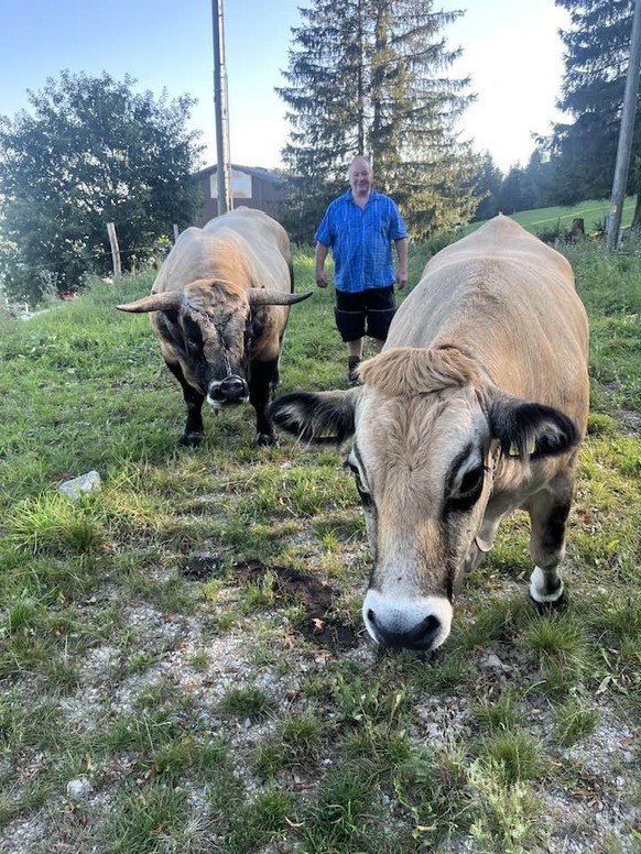 Didier Calame (UDC) avec ses bêtes.