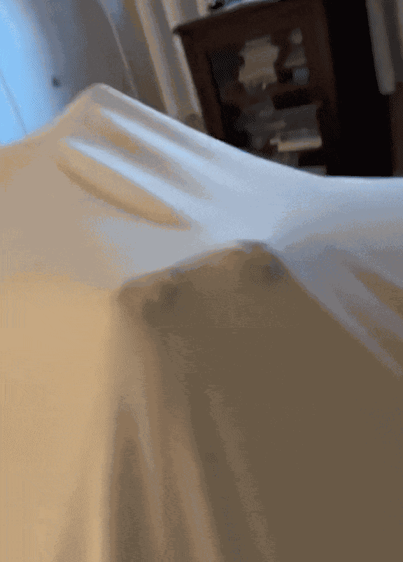 GIF animé