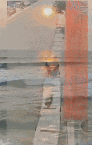 GIF animé