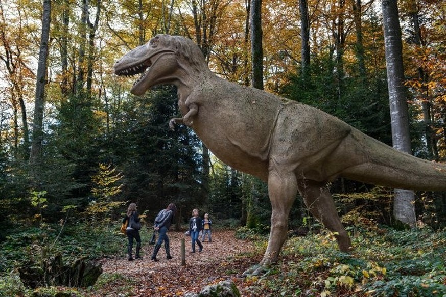 Voici 8 excursions insolites à faire en Suisse romande