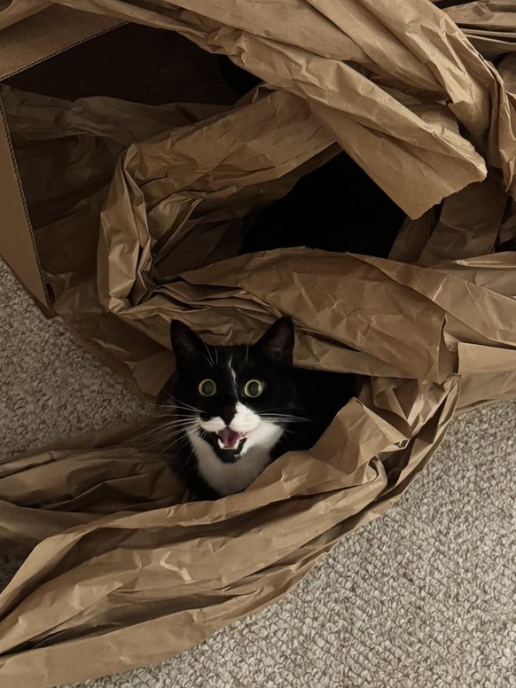 Surprise