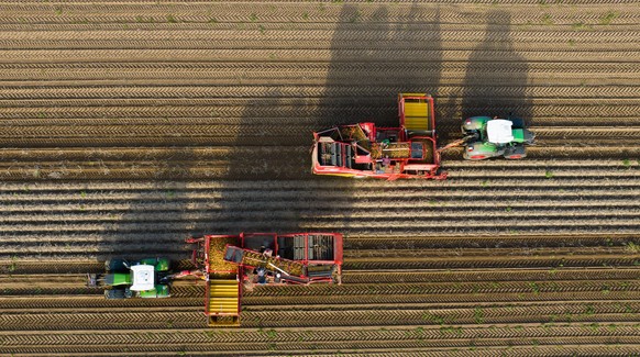 Que produira l’agriculture dans dix ans? Et comment les consommateurs réagissent-ils aux nouvelles variétés?