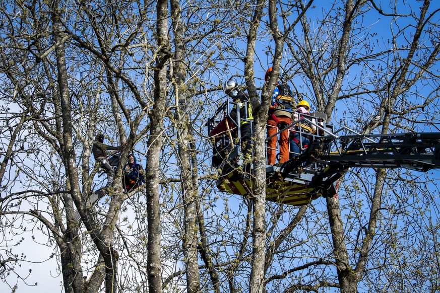 Un pompier, un medecin et une negociatrice discutent avec deux zadistes perches dans les arbres qui resistent encore apres l&#039;evacuation de la ZAD de la Colline (Zone A Defendre) proche de la carr ...