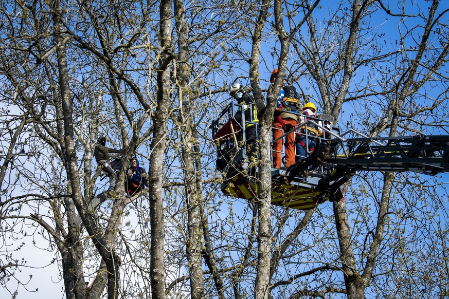 Un pompier, un medecin et une negociatrice discutent avec deux zadistes perches dans les arbres qui resistent encore apres l'evacuation de la ZAD de la Colline (Zone A Defendre) proche de la carr ...