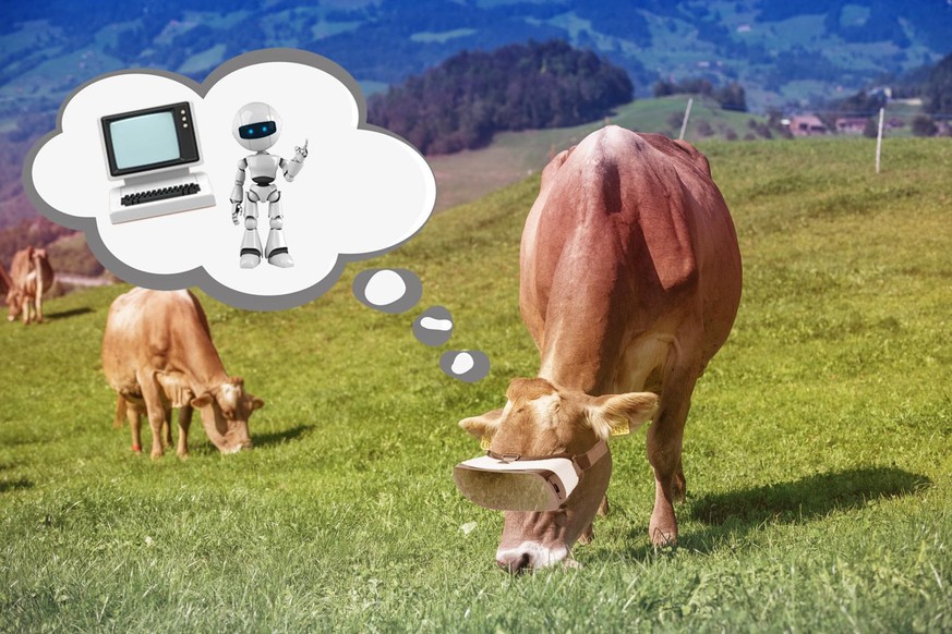Les vaches connectées rêvent-elles d'androïdes?